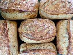 Wild West Sourdough