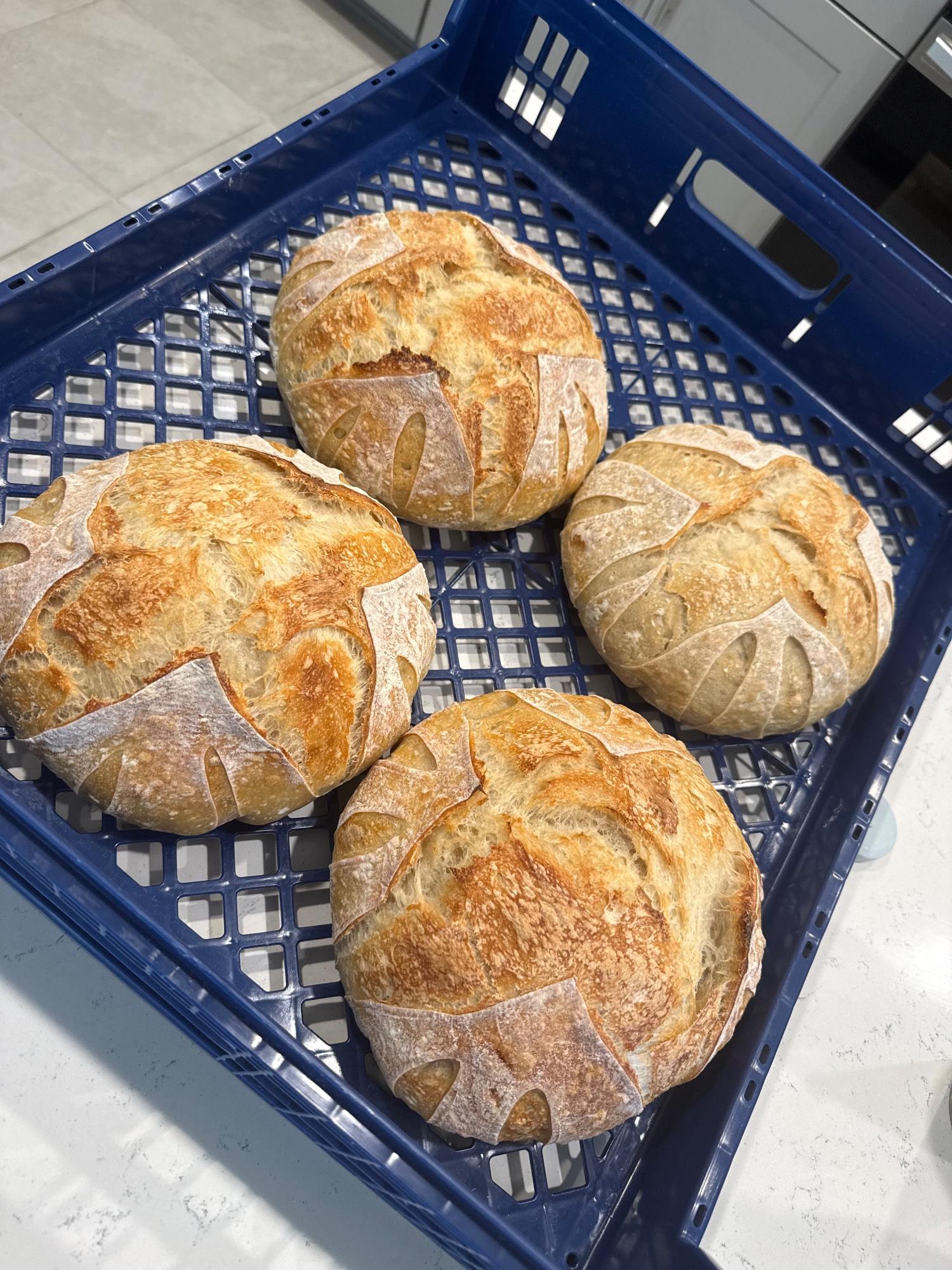 Plain Sourdough Loaf — photo 4 of 4