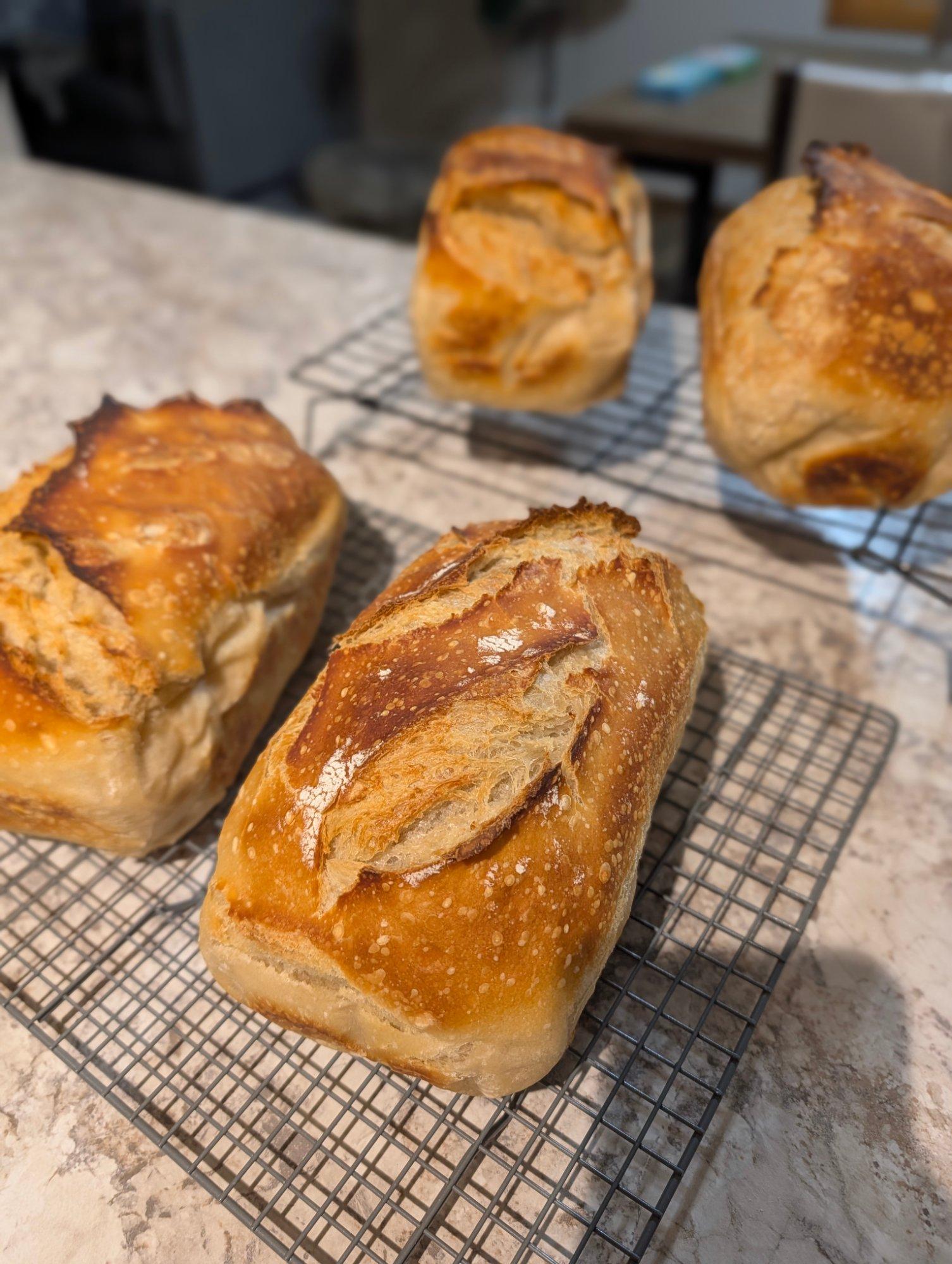 Sourdough Sandwich Loaf — photo 2 of 2