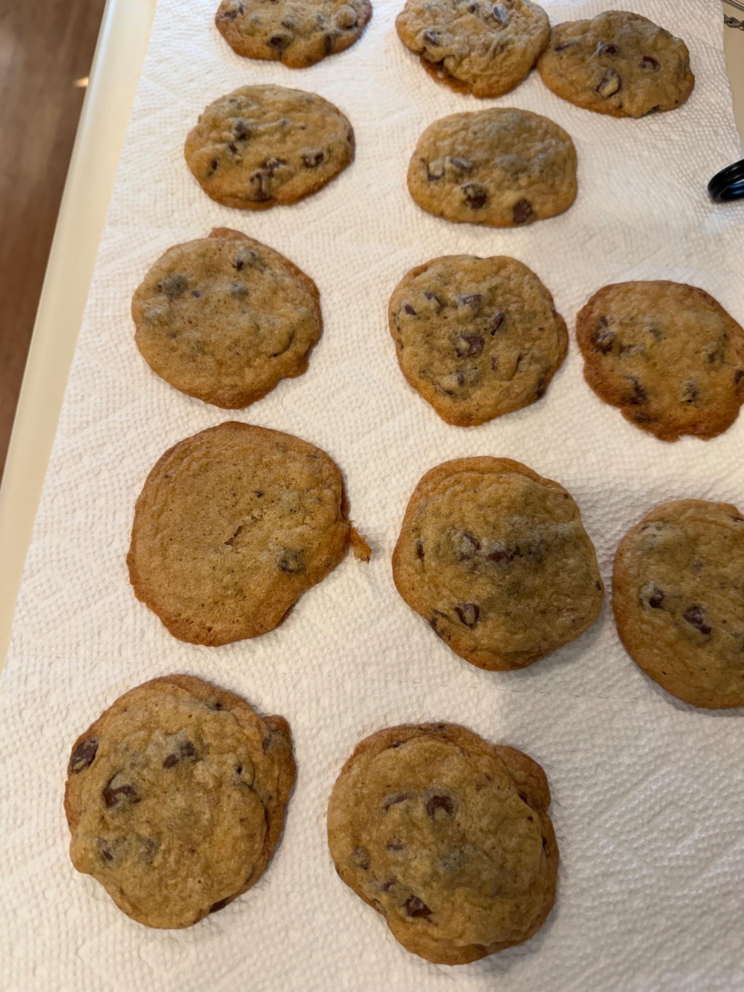 Fresh Baked Chocolate Chip Cookies