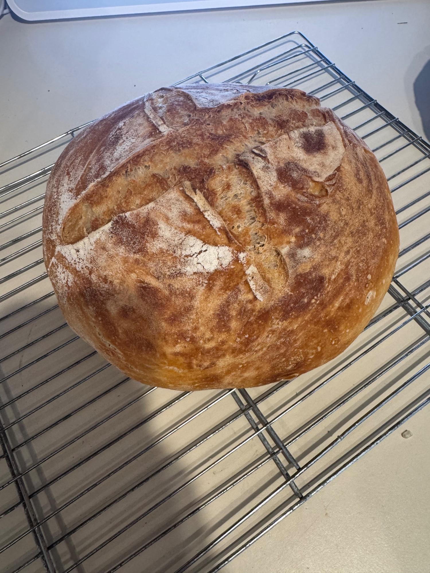 Plain Sourdough 