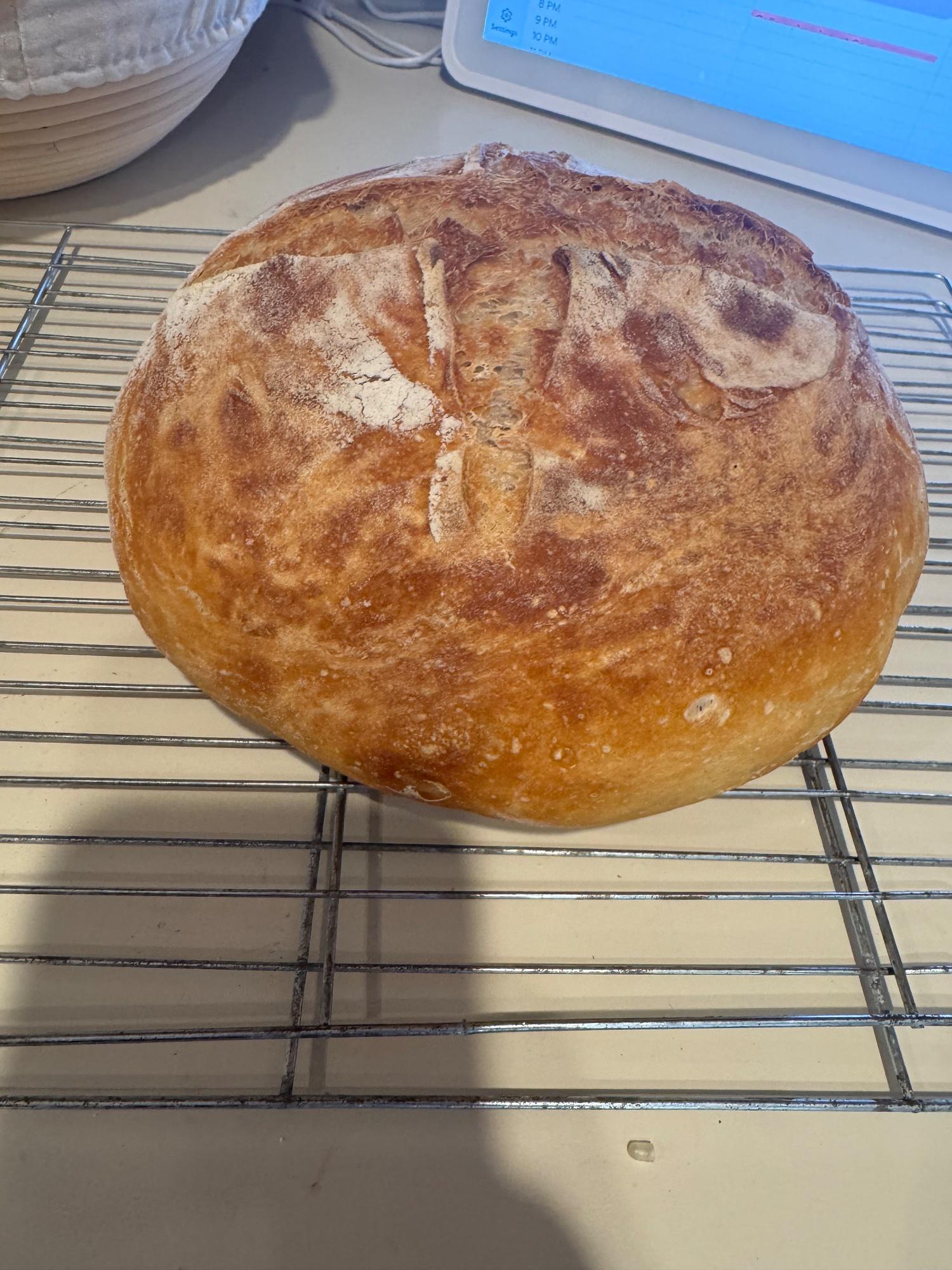 Plain Sourdough  — photo 2 of 4