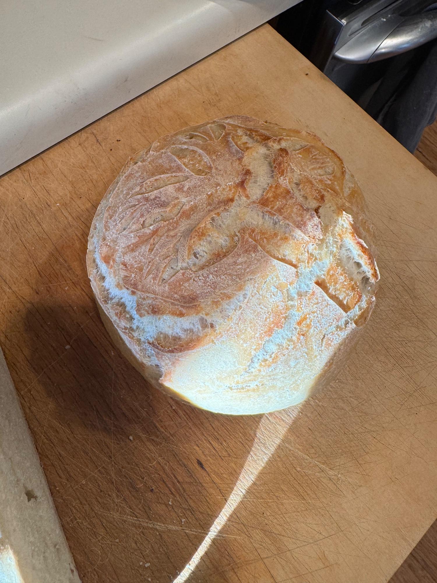 Plain Sourdough  — photo 4 of 4