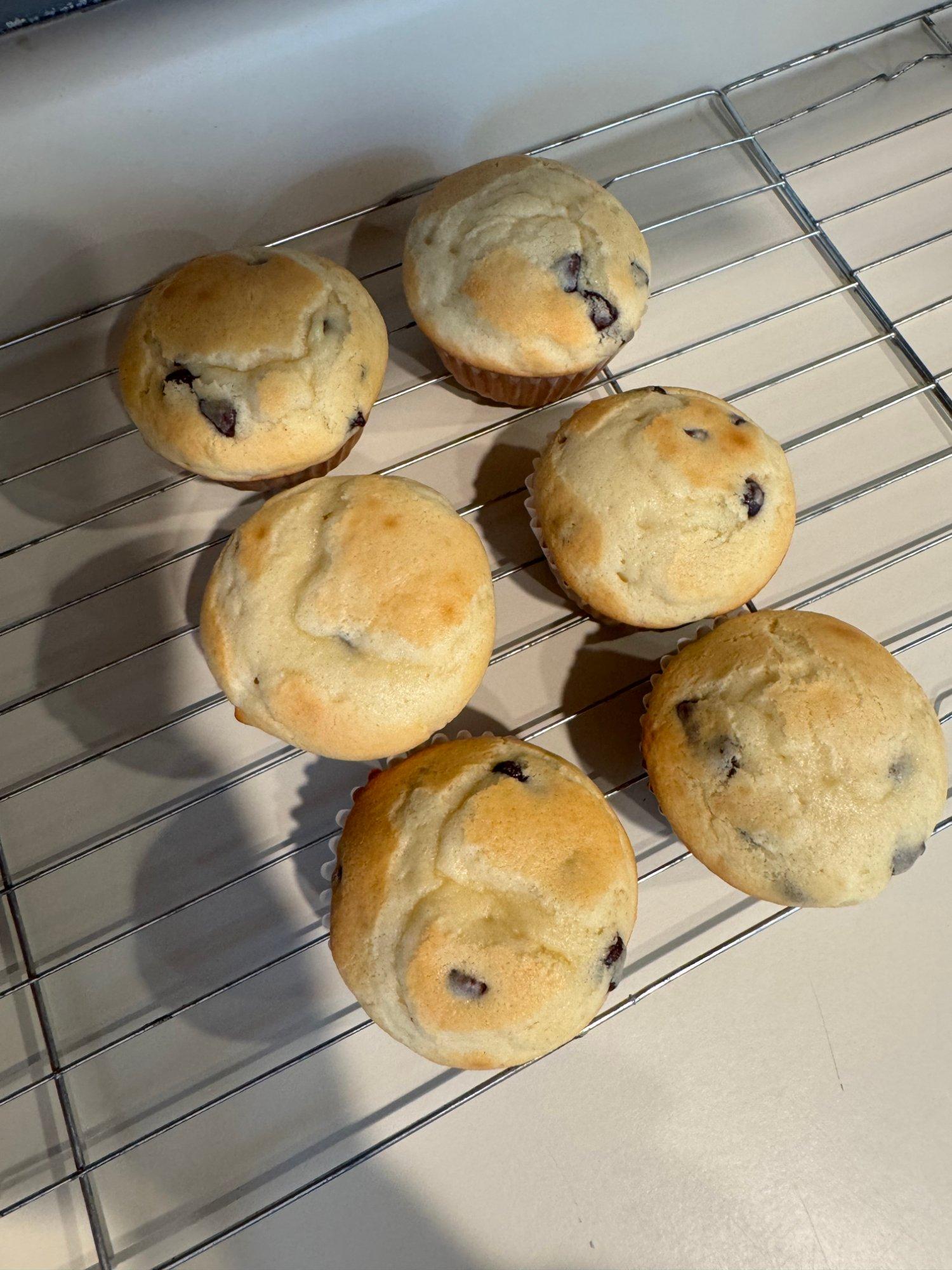 Homemade Chocolate Chip Muffins  — photo 1 of 3