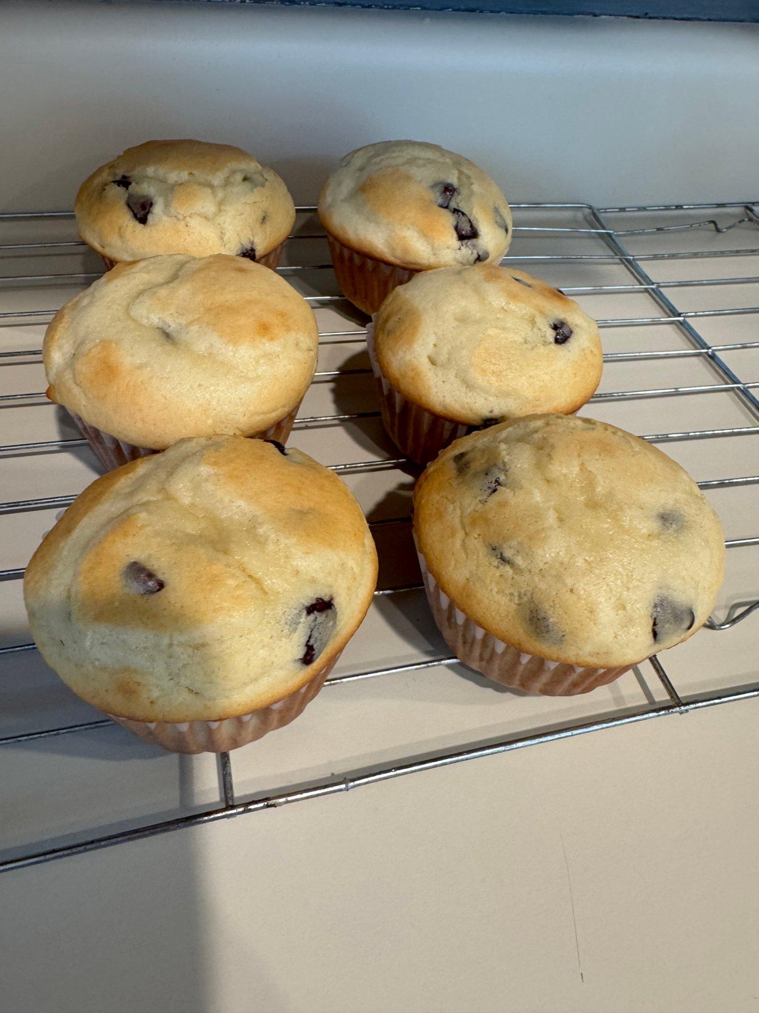 Homemade Chocolate Chip Muffins  — photo 2 of 3