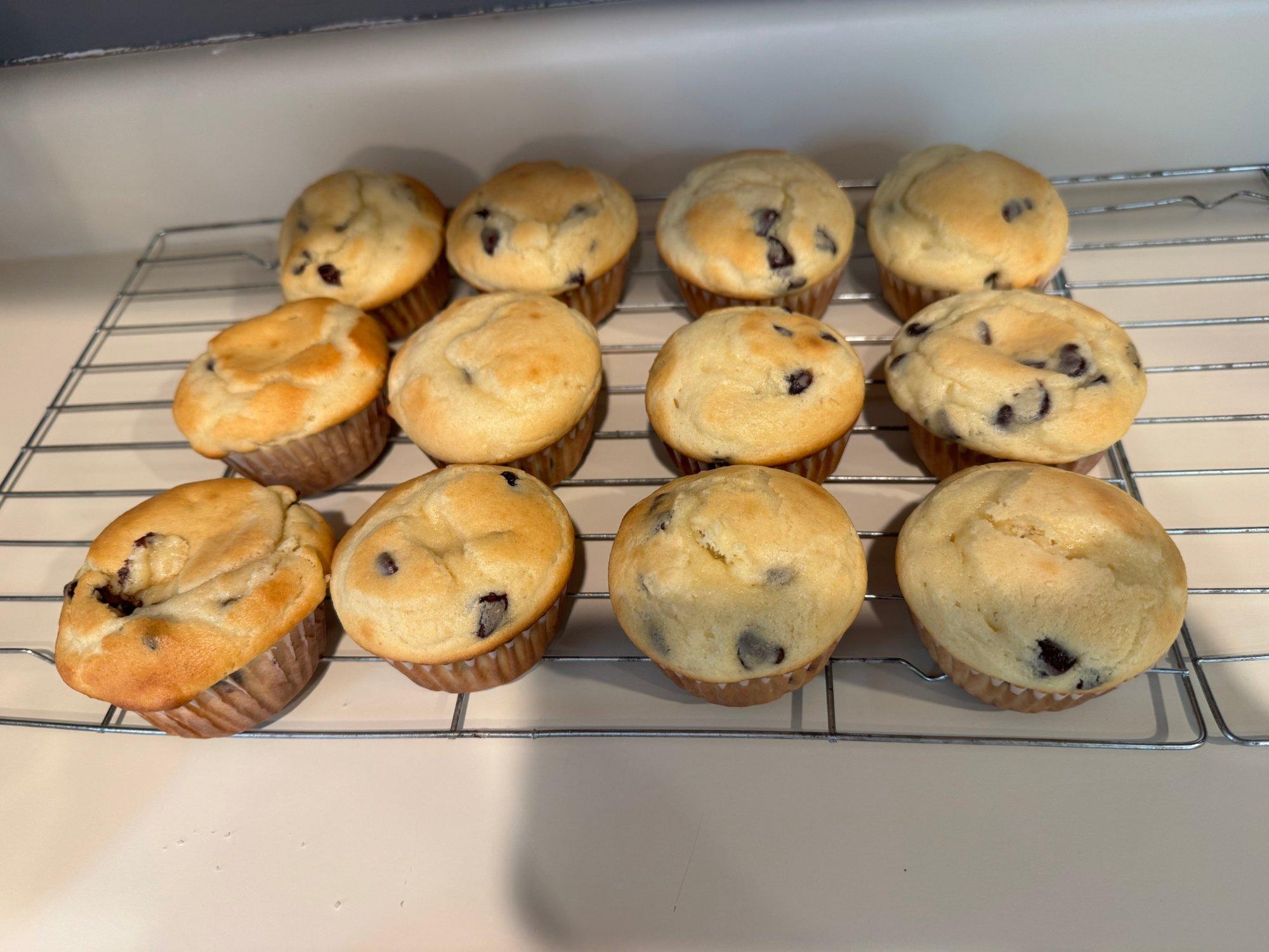 Homemade Chocolate Chip Muffins  — photo 3 of 3