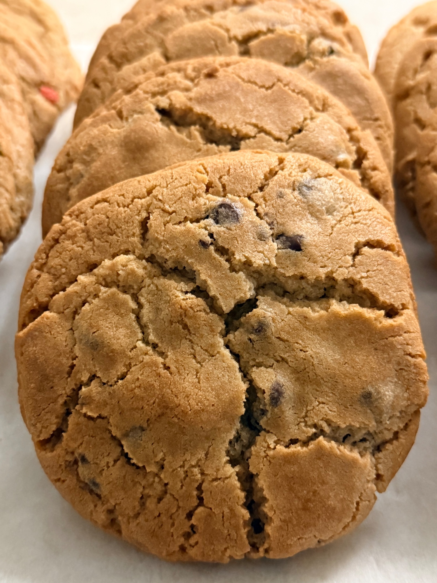 Chocolate chip cookie