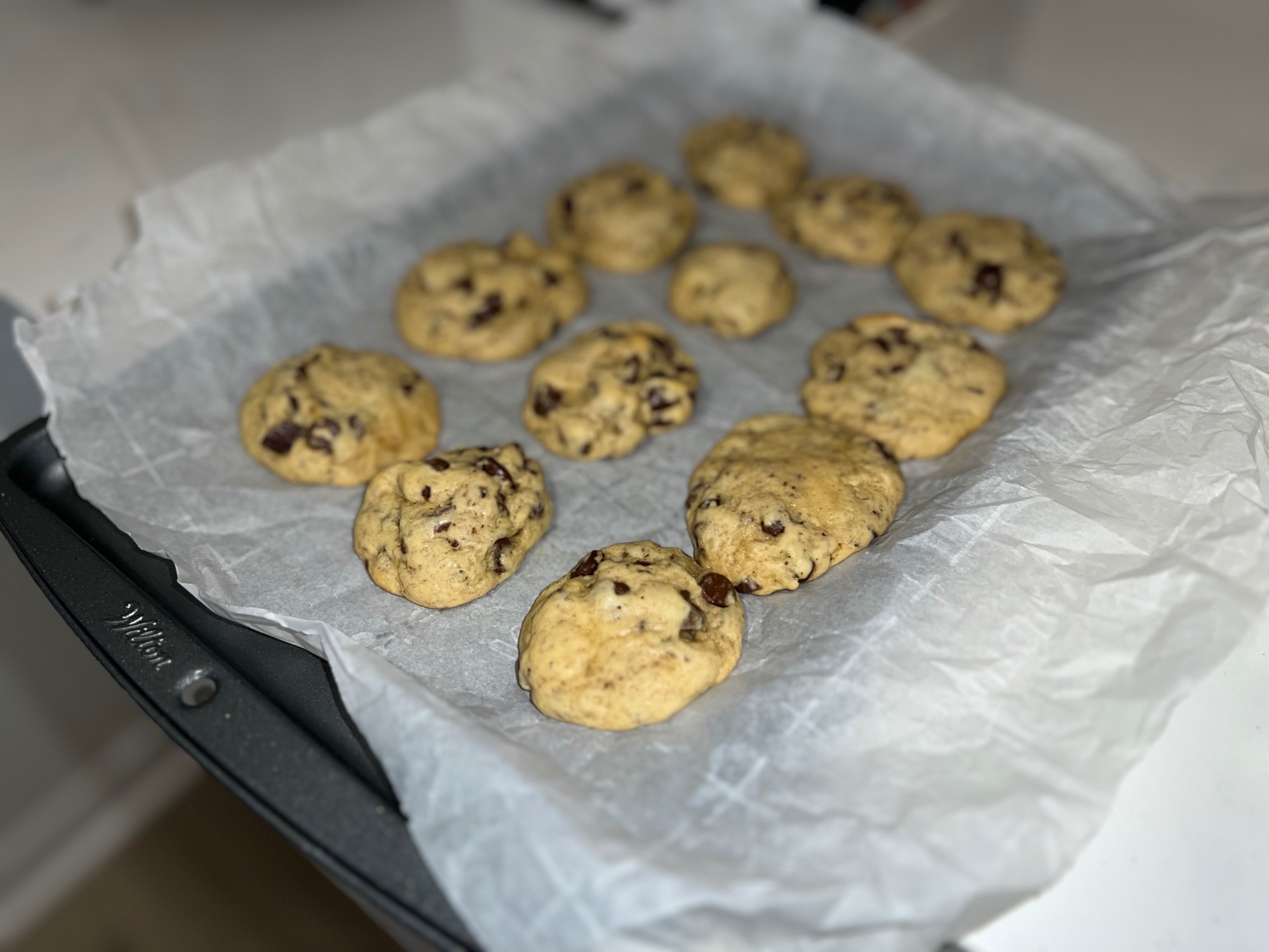 Chocolate chip cookie