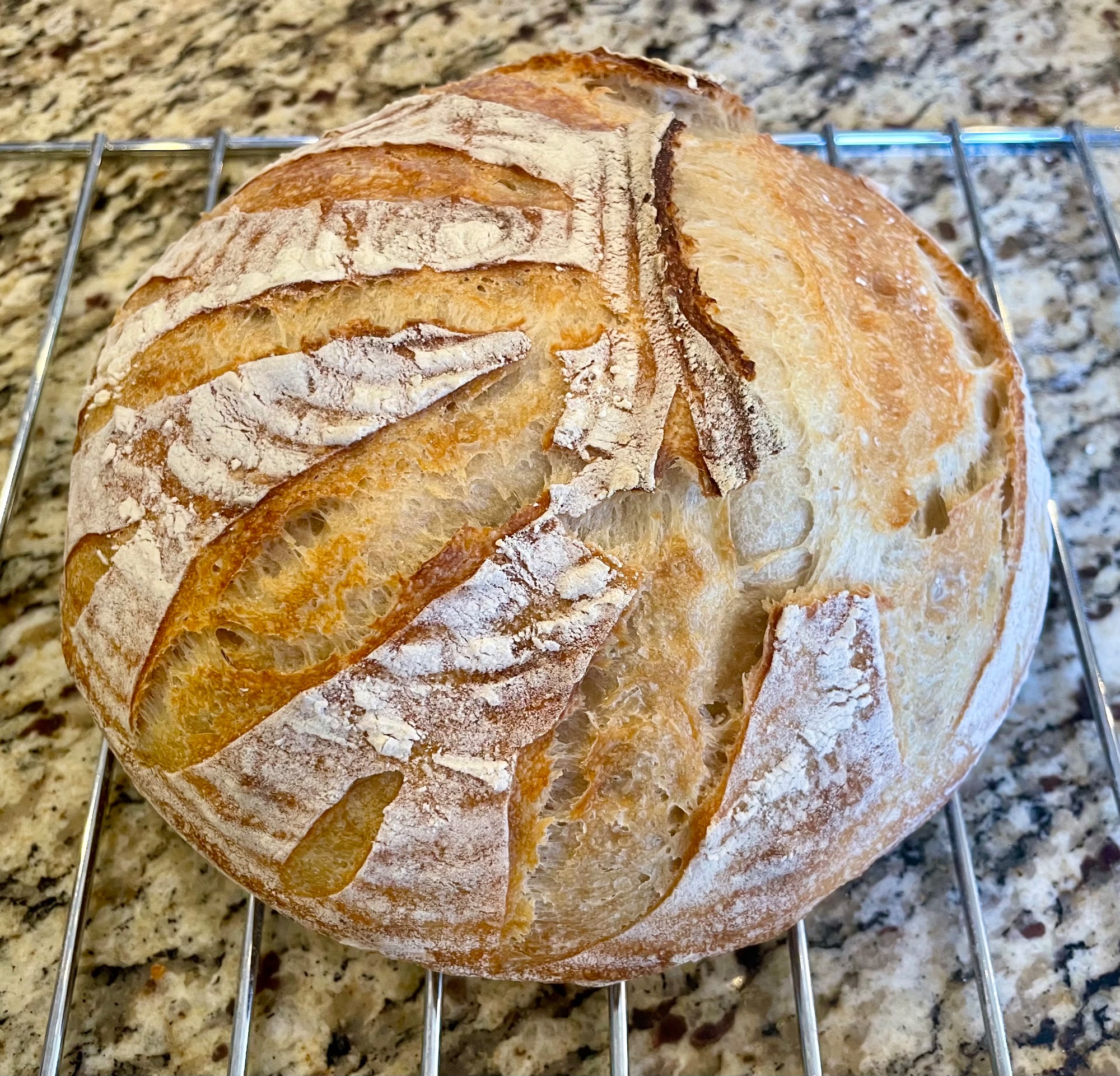 Plain Sourdough loaf 
