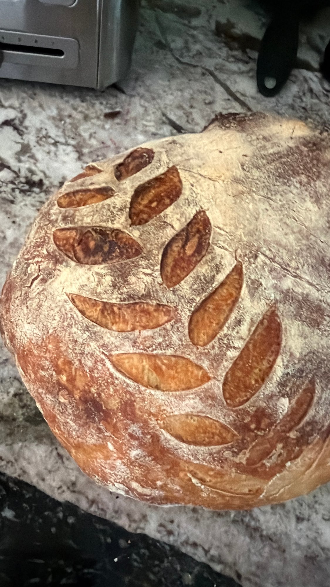 Bench Loaf Sourdough